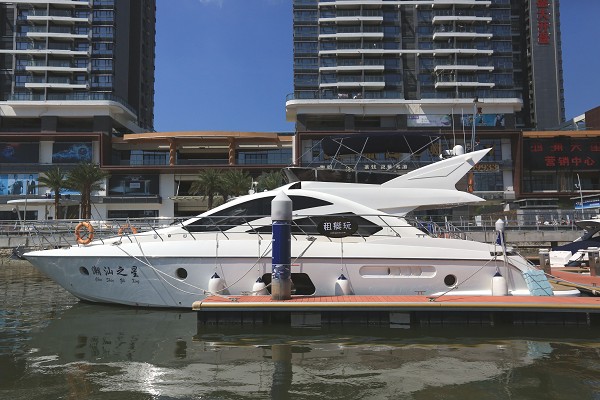 太陽(yáng)鳥(niǎo) 63