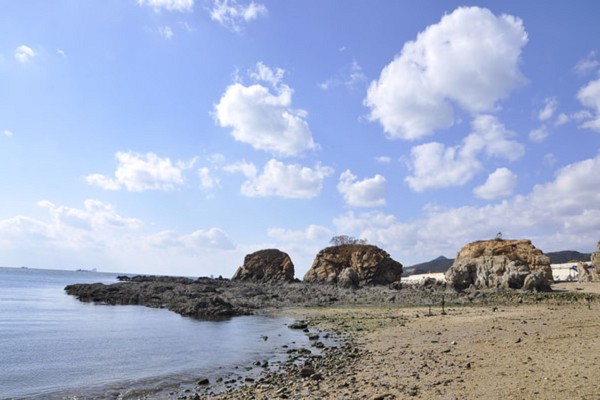 大連星海灣游艇碼頭-老虎牙 大連星海灣游艇碼頭-老虎牙