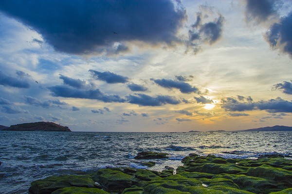 大連星海灣游艇碼頭-傅家莊公園 大連星海灣游艇碼頭-傅家莊公園