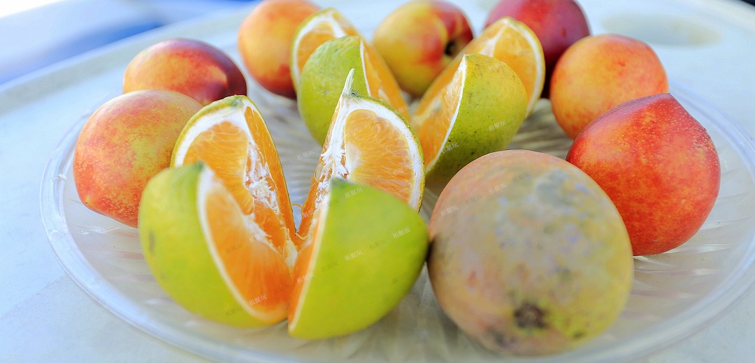 6.4米運(yùn)動快艇